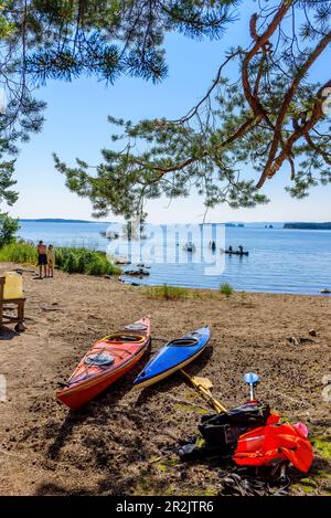 Kayaks sur le lac Pielinen, Finlande Banque D'Images