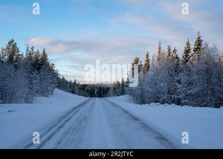 Route de campagne enneigée, Laponie, Finlande Banque D'Images