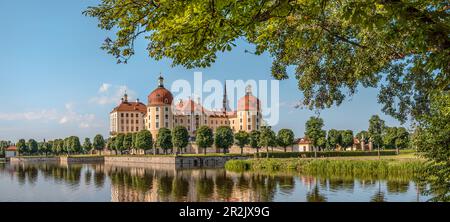 Vue sur Château de Moritzburg, Saxe, Allemagne Banque D'Images