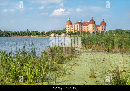 Vue sur Château de Moritzburg, Saxe, Allemagne Banque D'Images