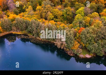 Vue aérienne d'automne d'une forêt colorée au bord d'un lac bleu à Hessen, en Allemagne Banque D'Images