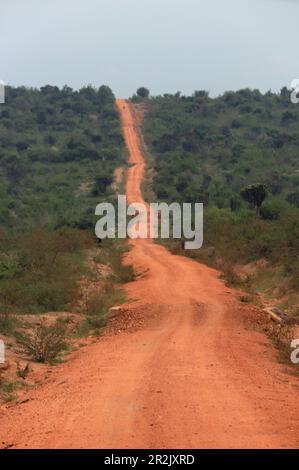 Ouganda; région occidentale; à Mbarara; près du parc national du lac Mburo; route de terre dans la savane du Bush Banque D'Images