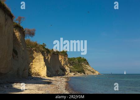 Côte escarpée Dornbuschkliff à Enddorn, Hiddensee, Mer Baltique, Mecklembourg-Poméranie occidentale, Allemagne Banque D'Images