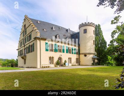 Roedental, château de Rosenau Banque D'Images