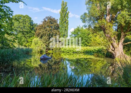 Marburg an der Lahn ; ancien jardin botanique Banque D'Images