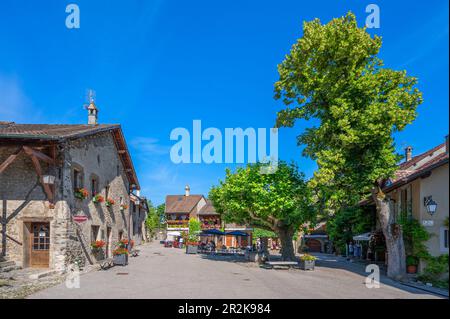 Allée en Yvoire, département de haute-Savoie, Auvergne-Rhône-Alpes, France Banque D'Images