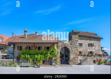 Allée en Yvoire, département de haute-Savoie, Auvergne-Rhône-Alpes, France Banque D'Images