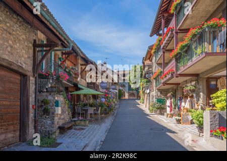 Allée en Yvoire, département de haute-Savoie, Auvergne-Rhône-Alpes, France Banque D'Images