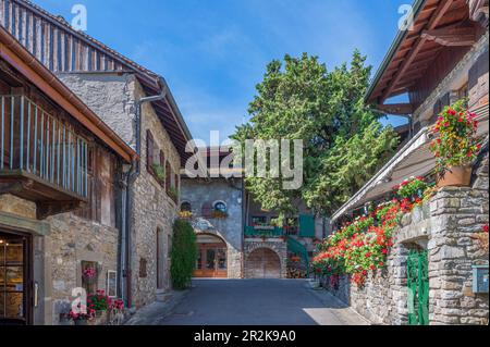 Allée en Yvoire, département de haute-Savoie, Auvergne-Rhône-Alpes, France Banque D'Images