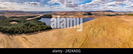 Vue aérienne de la forêt sur l'île de Lough Anna - Comté de Donegal, Irlande. Banque D'Images