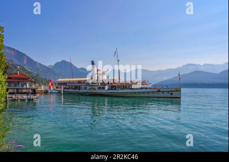 Bateau à vapeur sur le lac de Lucerne près de Wiggis, canton de Lucerne, Suisse Banque D'Images