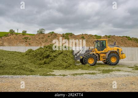 Le chargeur Volvo L90H emballant la fosse d'ensilage d'herbe près de Timolegue, Co Liège Banque D'Images