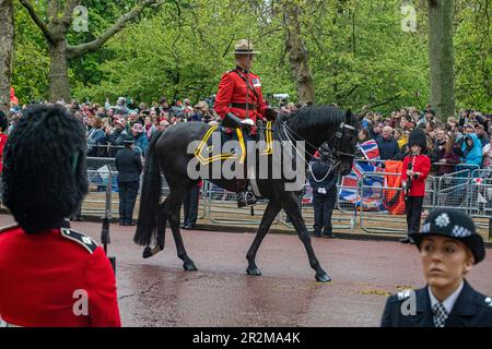 Policier à cheval royal Candadien au Couronnement du roi Charles III Banque D'Images