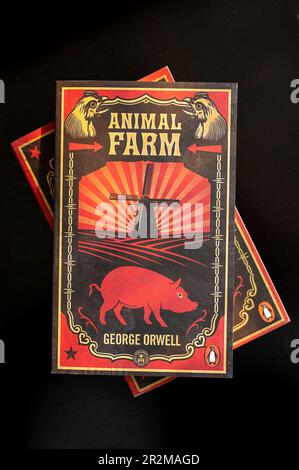 Calgary, Alberta - 17 mai 2023 : couverture du livre historique de George Orwell - Animal Farm. Banque D'Images