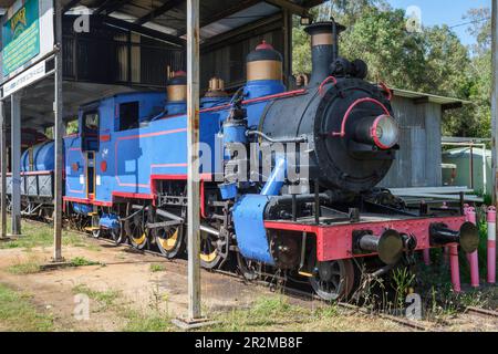 Une machine à vapeur dans les sidings à la station de Ravenshoe, chemin de fer de Ravenshoe, Ravenshoe, Atherton Tablelands, Queensland, Australie Banque D'Images