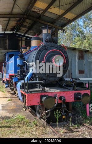 Une machine à vapeur dans les sidings à la station de Ravenshoe, chemin de fer de Ravenshoe, Ravenshoe, Atherton Tablelands, Queensland, Australie Banque D'Images