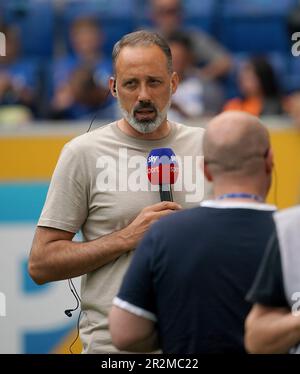 20 mai 2023, stade PreZero, Sinsheim, GER, 1st FBL, TSG 1899 Hoffenheim vs 1st Union Berlin, DFL les règlements interdisent toute utilisation de photographies comme séquences d'images et/ou quasi-vidéo. Dans l'entraîneur de photo Pellegrino Matarazzo (Hoffenheim) Banque D'Images