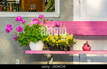 Plantes en pot et flamant rose sur un banc rose à Shelter Island, NY Banque D'Images
