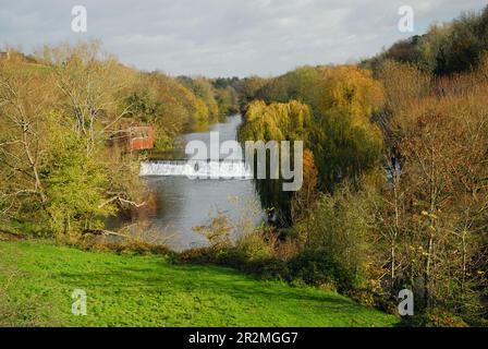 Ancien moulin du Nord abandonné à côté de la rivière Avon à Avoncliff, Wiltshire. Banque D'Images