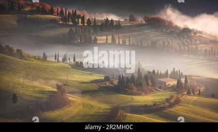 Matin brumeux en Toscane. Une ferme, une route bordée d'arbres et des collines ondoyantes dans la campagne près de Pienza, province de Sienne, Italie. Banque D'Images