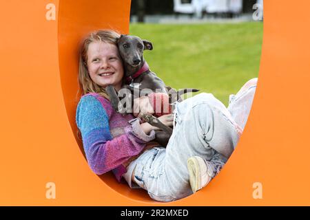 UTILISATION ÉDITORIALE SEULEMENT Sarah avec son chien Luna à Goodwoof 2023, un événement canin tenu à Goodwood Estate, Chichester. Date de la photo: Samedi 20 avril 2023. Banque D'Images