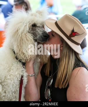 USAGE ÉDITORIAL SEULEMENT Carlie avec son chien Rio à Goodwoof 2023, un événement canin tenu à Goodwood Estate, Chichester. Date de la photo: Samedi 20 avril 2023. Banque D'Images