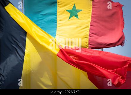Dakar, Sénégal. 20th mai 2023. Drapeaux belges et sénégalais photographiés lors d'une cérémonie d'accueil à l'aéroport de Dakar, Sénégal, à l'arrivée d'une mission économique au Sénégal le samedi 20 mai 2023. La mission est organisée par la princesse Astrid, rejointe par les ministres Hadja Lahbib et Willy Borsus, et le secrétaire d'Etat Pascal Smet. BELGA PHOTO BENOIT DOPPAGNE crédit: Belga News Agency/Alay Live News Banque D'Images