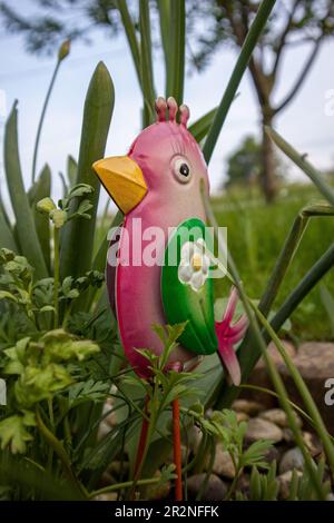 Oiseaux de jardin Banque D'Images