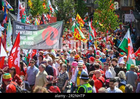 Des milliers de personnes sont descendues samedi dans les rues de Swansea pour participer à une marche appelant à l'indépendance galloise. Environ 5000 personnes se sont garées dans l'événement organisé dans la deuxième ville du pays de Galles et organisé par les groupes pro-indépendantistes Yes Cymru et AUOB (tous sous une bannière) Cymru. Banque D'Images