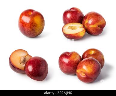 Mise à fruit prune isolé sur fond blanc Banque D'Images