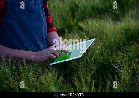 Homme utilisant une tablette sur le terrain. L'avenir de l'agriculture : le nouveau visage d'une agriculture efficace gérée par des tablettes Banque D'Images