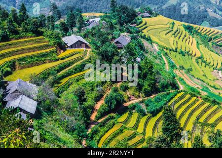 Vue sur le paysage des rizières dans le district de Mu Cang Chai, province de Yen Bai, au nord du Vietnam Banque D'Images