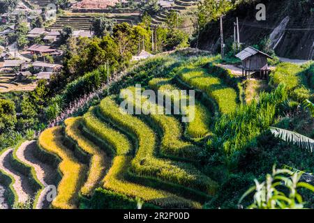 Vue sur le paysage des rizières dans le district de Mu Cang Chai, province de Yen Bai, au nord du Vietnam Banque D'Images