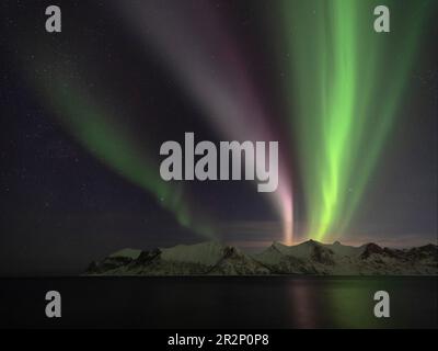 Aurores boréales sur l'île de Senja, Noregen Banque D'Images