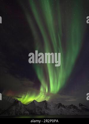 Aurores boréales sur l'île de Senja, Noregen Banque D'Images