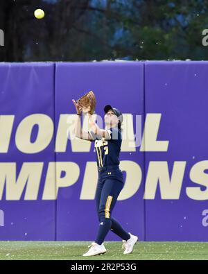 19 mai 2023 : = pendant le match régional de softball NCAA entre les ours du Colorado du N. et les Huskies de Washington au stade de softball Husky à Seattle, en Australie occidentale. Washington défait N. Colorado 10-2. Steve Faber/CSM Banque D'Images