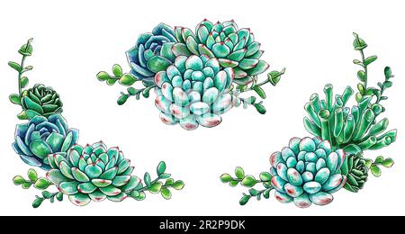 Ensemble de compositions lumineuses de cactus et de succulents. Aquarelle illustration des succs dessinée à la main. Peut être utilisé pour les cartes de mariage et les invitations, m Banque D'Images