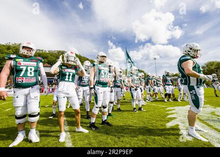 Erima GFL / Ligue allemande de football, Interconferencegame Schwaebisch Hall unicorns vs. Potsdam Royals, 20 mai.2023 Schwäbisch Hall unicorns Banque D'Images