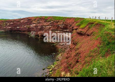 Cape Tryon. Falaises de grès le long du golfe du Saint-Laurent, océan Atlantique. Érosion côtière, Côte nord de l'Île-du-Prince-Édouard, Canada. Banque D'Images