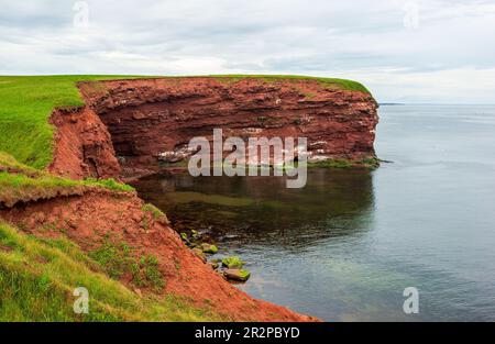 Cape Tryon. Falaises de grès le long du golfe du Saint-Laurent, océan Atlantique. Érosion côtière, Côte nord de l'Île-du-Prince-Édouard, Canada. Banque D'Images