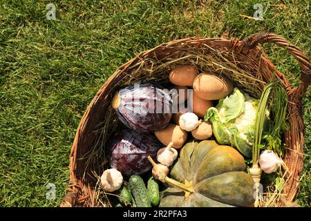 Différents légumes frais mûrs dans un panier en osier sur de l'herbe verte, vue de dessus Banque D'Images