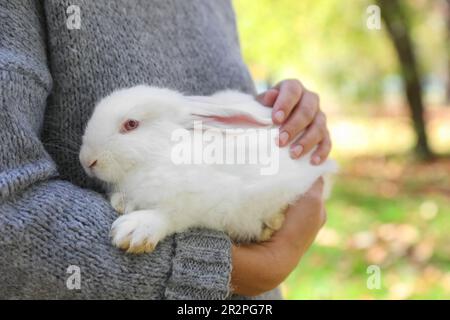Femme tenant un joli lapin blanc dans le parc, en gros plan Banque D'Images