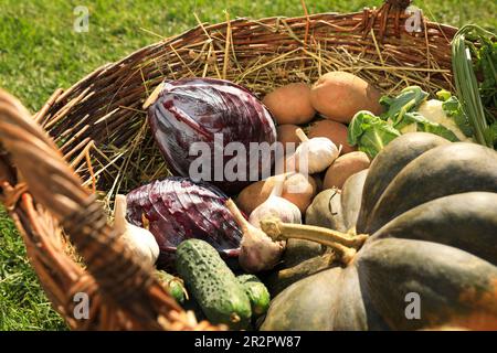 Différents légumes frais mûrs dans un panier en osier sur l'herbe, gros plan Banque D'Images
