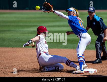 20 mai 2023 Palo Alto CA États-Unis L'infielor de Floride SkMylar Wallace (17) tente de jouer à la deuxième base pendant le jeu régional de softball de NCAA Stanford entre Florida Gators et le Cardinal de Stanford. Stanford a battu Florida 8-0 au stade Boyd & Jill Smith Family Stadium Palo Alto Calif. Thurman James/CSM Banque D'Images