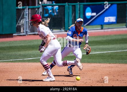 20 mai 2023 Palo Alto CA États-Unis L'infielor de Floride SkMylar Wallace (17) fait un jeu d'infield pendant le jeu régional de softball de NCAA Stanford entre Florida Gators et le Cardinal de Stanford. Stanford a battu Florida 8-0 au stade Boyd & Jill Smith Family Stadium Palo Alto Calif. Thurman James/CSM Banque D'Images