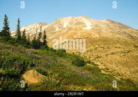 Mont Saint Helens. Washington. ÉTATS-UNIS Banque D'Images