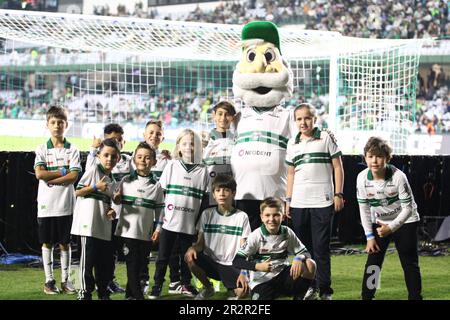 Curitiba, Parana, Brésil. 20th mai 2023. (SPO) Championnat brésilien de football: Coritiba vs Atletico MG. 20 mai 2023, Curitiba, Parana, Brésil: Match de football entre Coritiba et Atletico MG valable pour la manche 7th du Championnat brésilien de football 2023, à l'Estadio Couto Pereira à Curitiba. Atletico MG a gagné 2-1. Credit: Edson de Souza/Thenews2 (Credit image: © Edson de Souza/TheNEWS2 via ZUMA Press Wire) USAGE ÉDITORIAL SEULEMENT! Non destiné À un usage commercial ! Banque D'Images