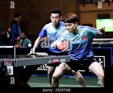 Durban, Afrique du Sud. 20th mai 2023. Wong Chun Ting/Doo Hoi Kem (R) de Hong Kong en Chine lors de la première série de doubles mixtes entre Wong Chun Ting/Doo Hoi Kem de Hong Kong en Chine et John Oyebode/Gaia Monfardini en Italie lors de la finale des Championnats du monde de tennis de table 2023 de l'ITTF à Durban, en Afrique du Sud, au 20 mai 2023. Crédit: Li Yahui/Xinhua/Alamy Live News Banque D'Images