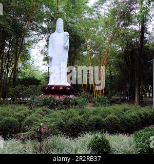 Statue de bodhisattva Guanyin bouddhiste au parc Daan à Taipei, Taïwan; sculptée en 1985 par le sculpteur taïwanais Yuyu Yang. Banque D'Images