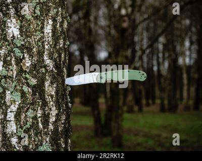 Couteau pliant vert EDC, coincé dans le tronc d'un bouleau à l'arrière-plan de la forêt Banque D'Images